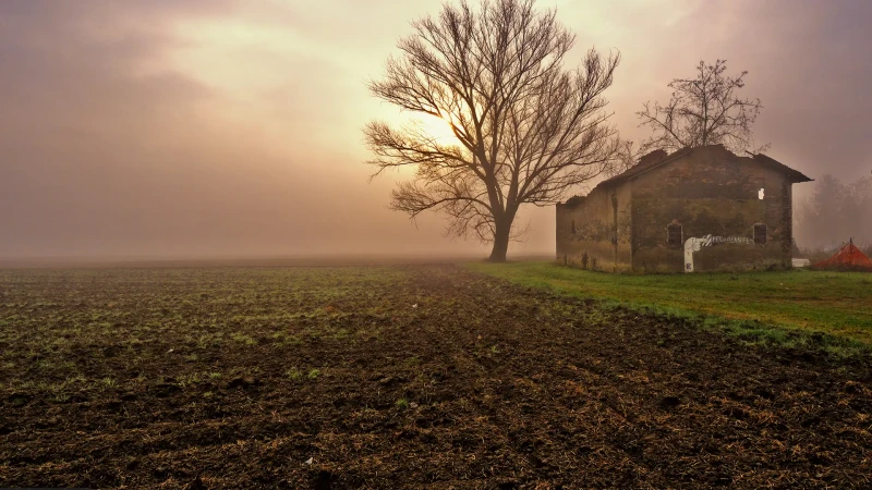 The House of the Rising Sun