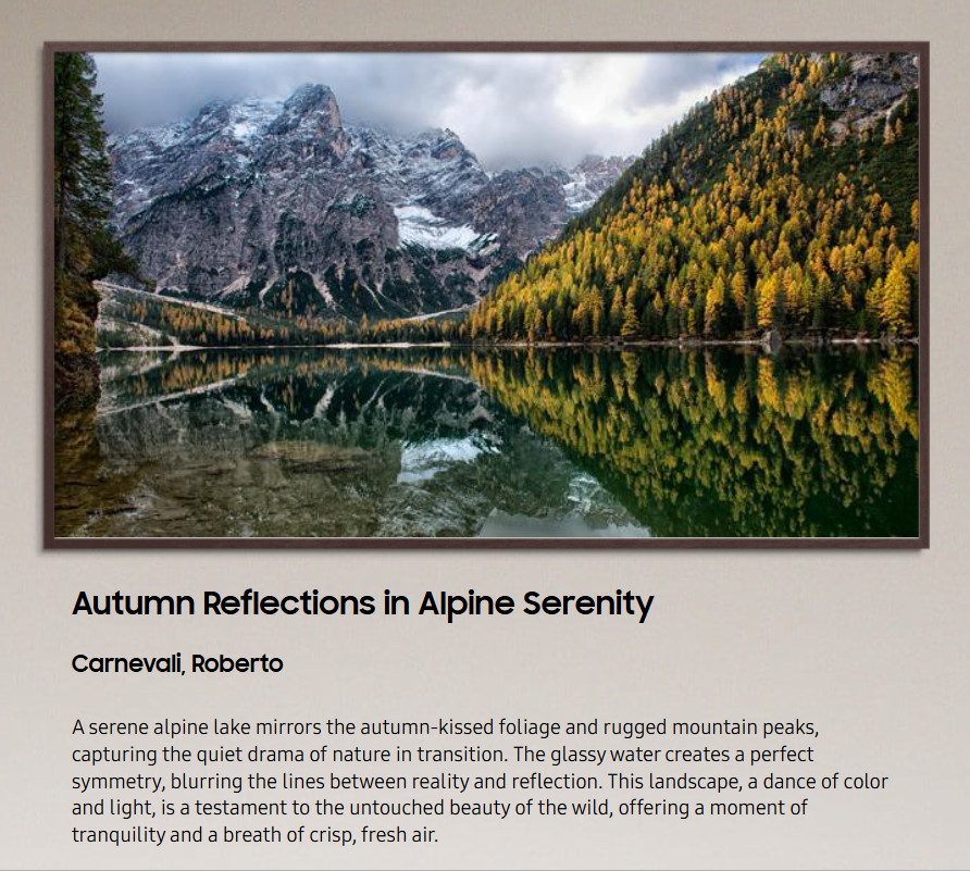 SAMSUNG Art Store - Opera di Roberto Carnevali nel catalogo