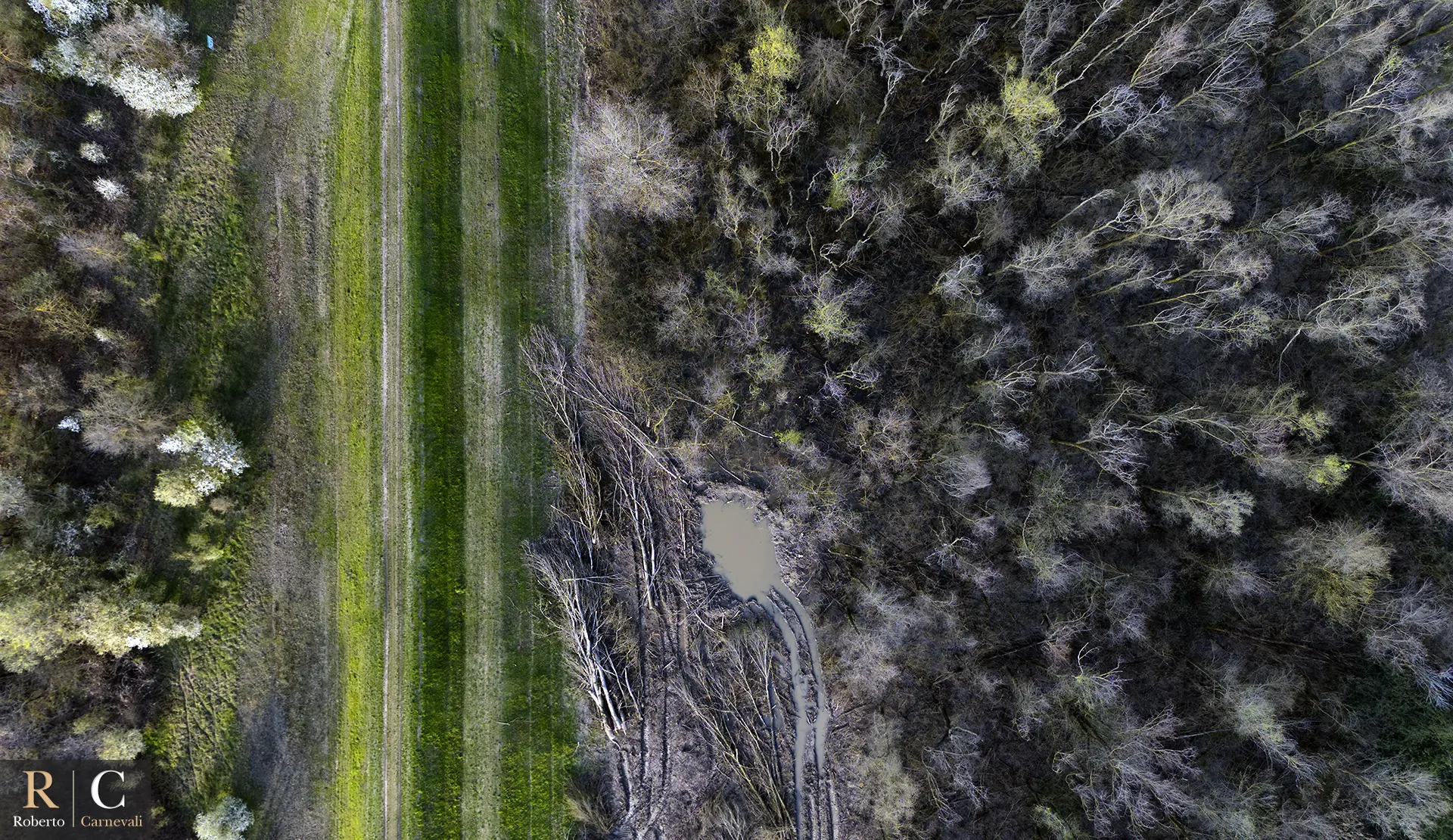 L'argine delle casse di espansione del fiume Secchia dal drone