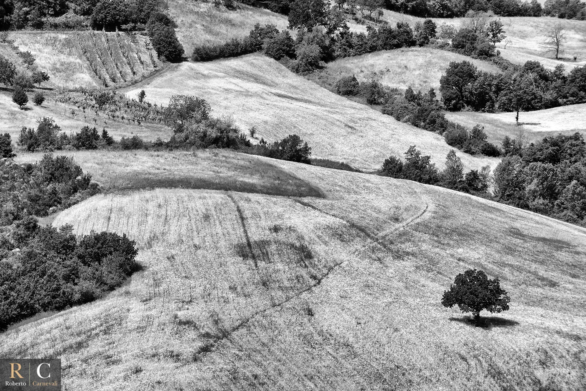 Colline Matildiche in bianco e nero