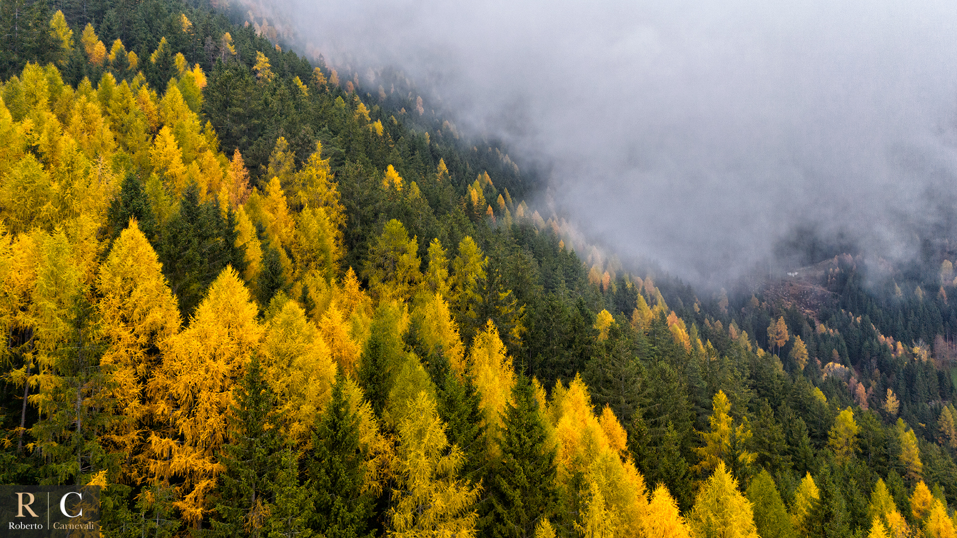 Foliage autunnale dal drone sui boschi del monte Ponente