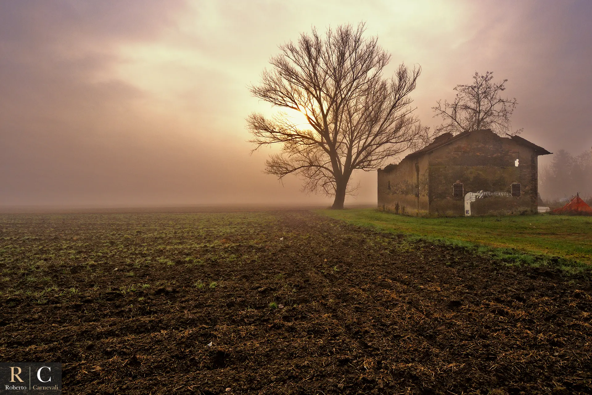 The House of the Rising Sun