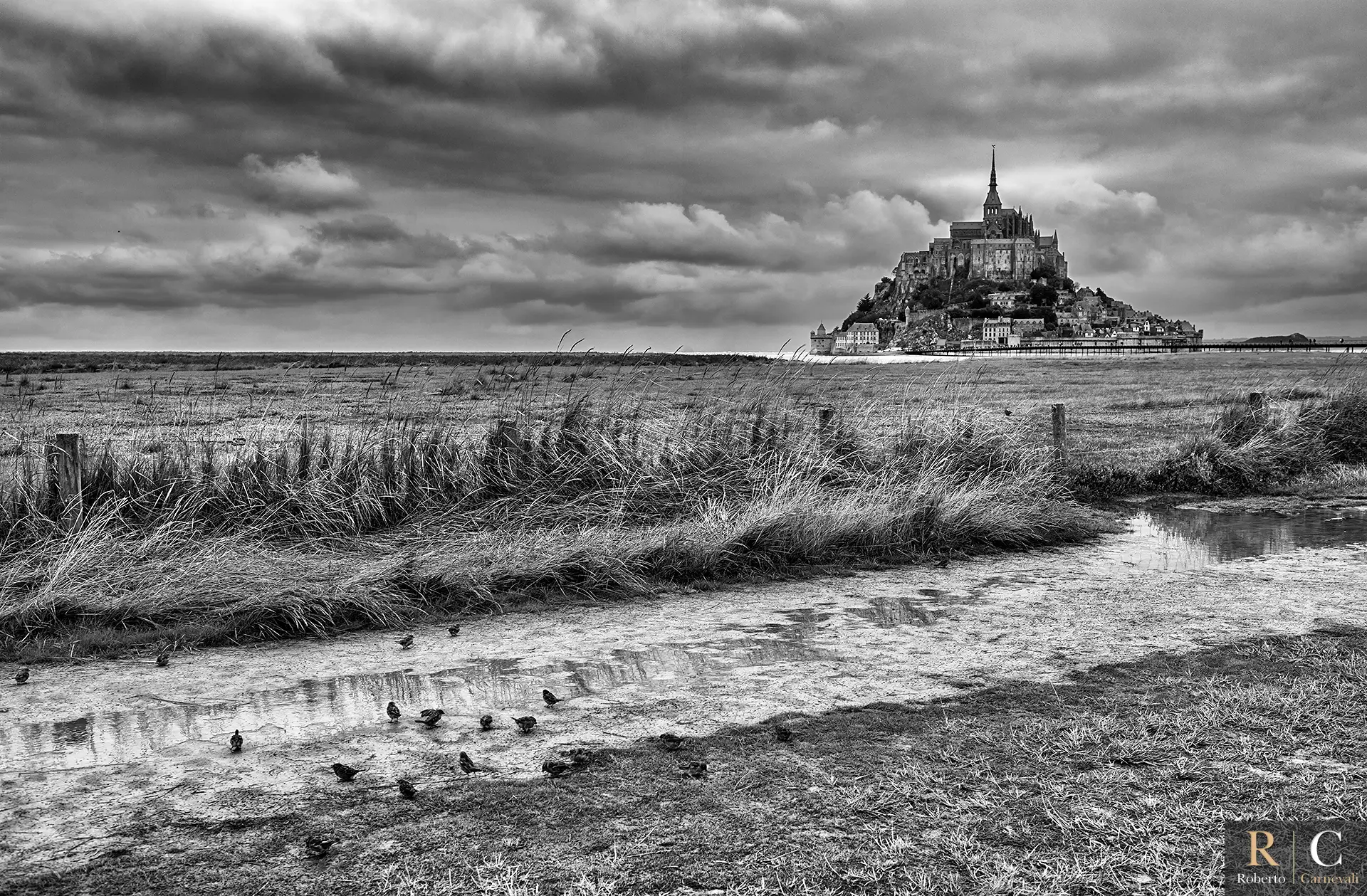 I passeri di Mont Saint Michel e le atmosfere della Normandia