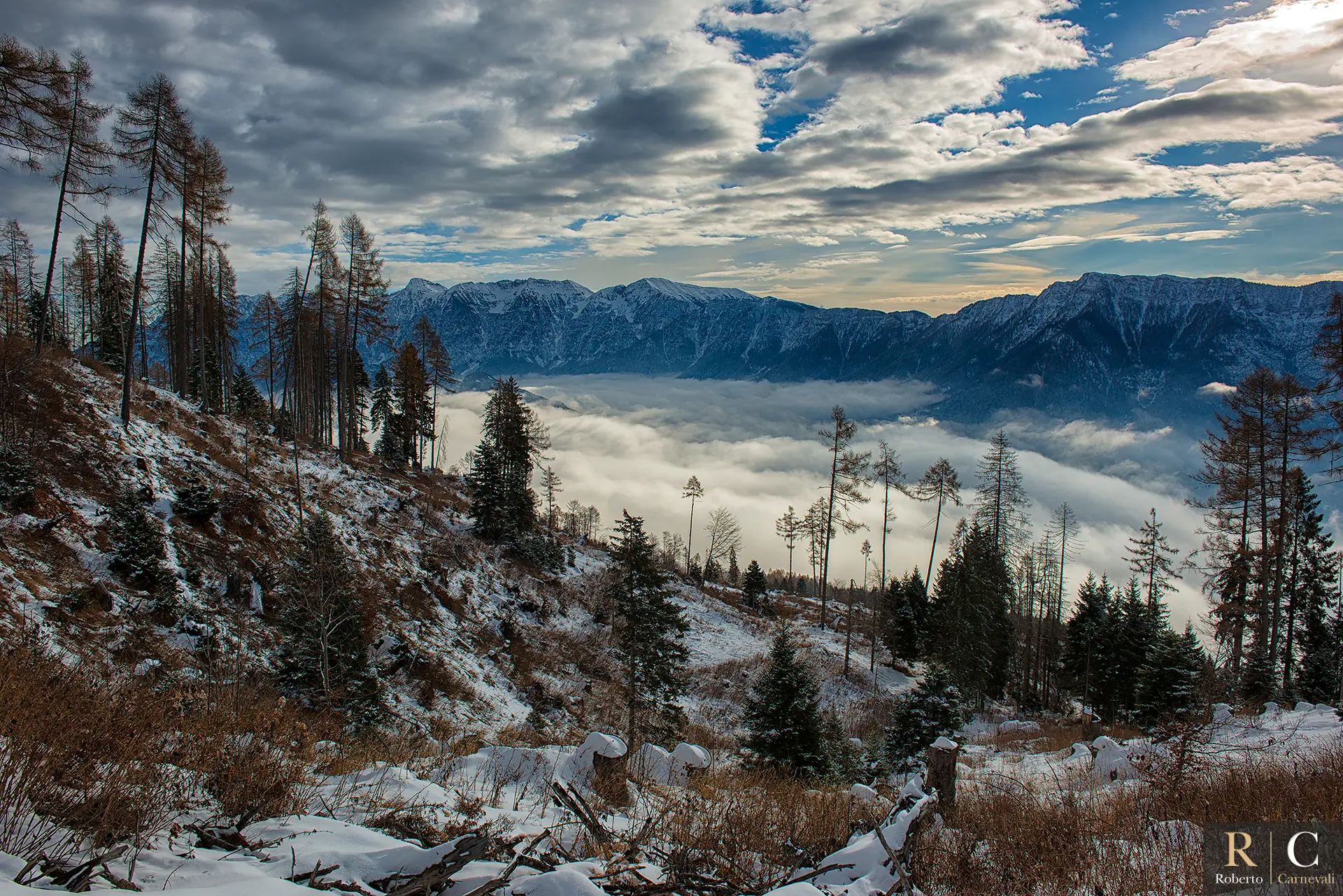 Il bosco, la tempesta Vaia e la forza della Natura