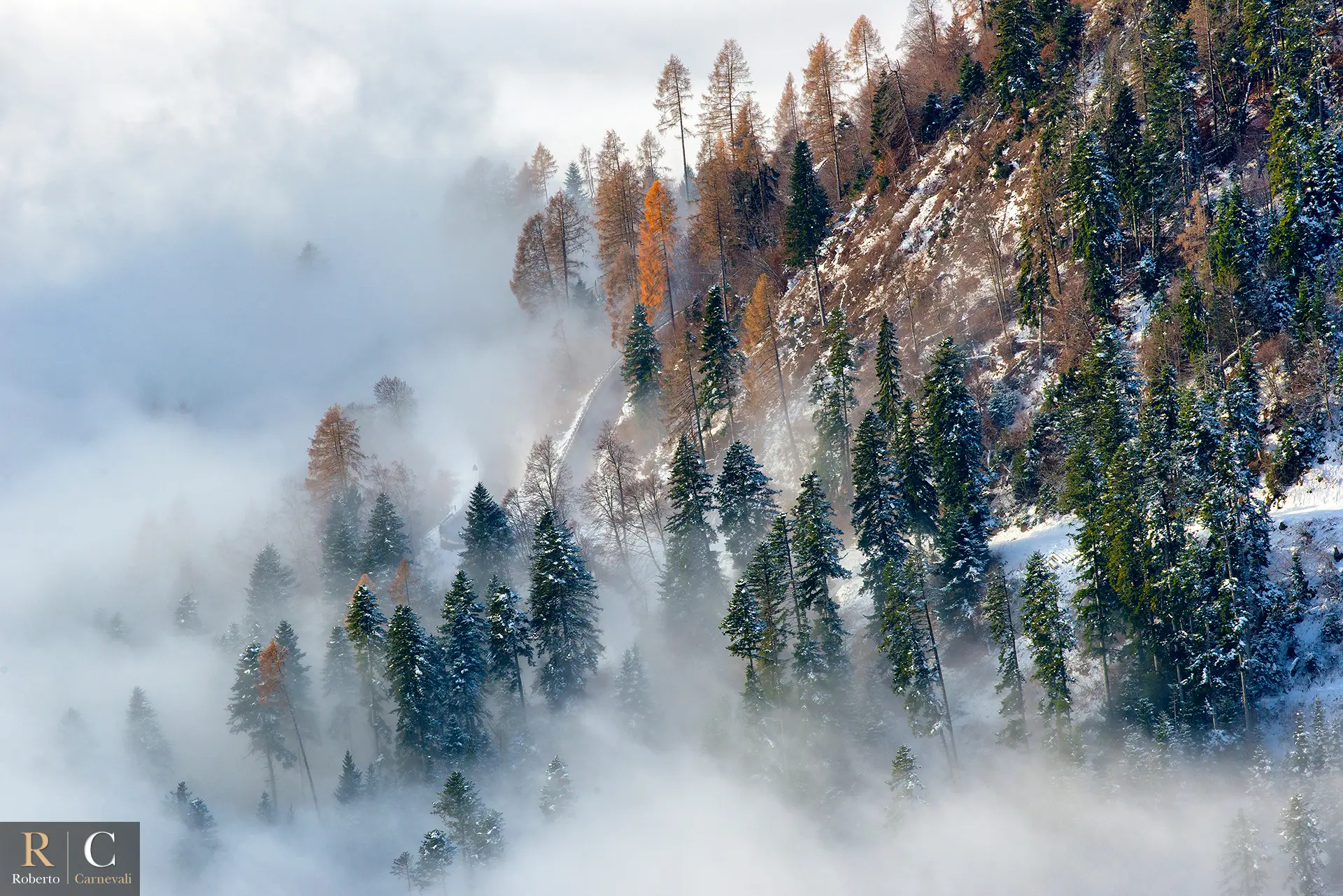 Il bosco invernale inghiottito dalle nuvole sul Lagorai