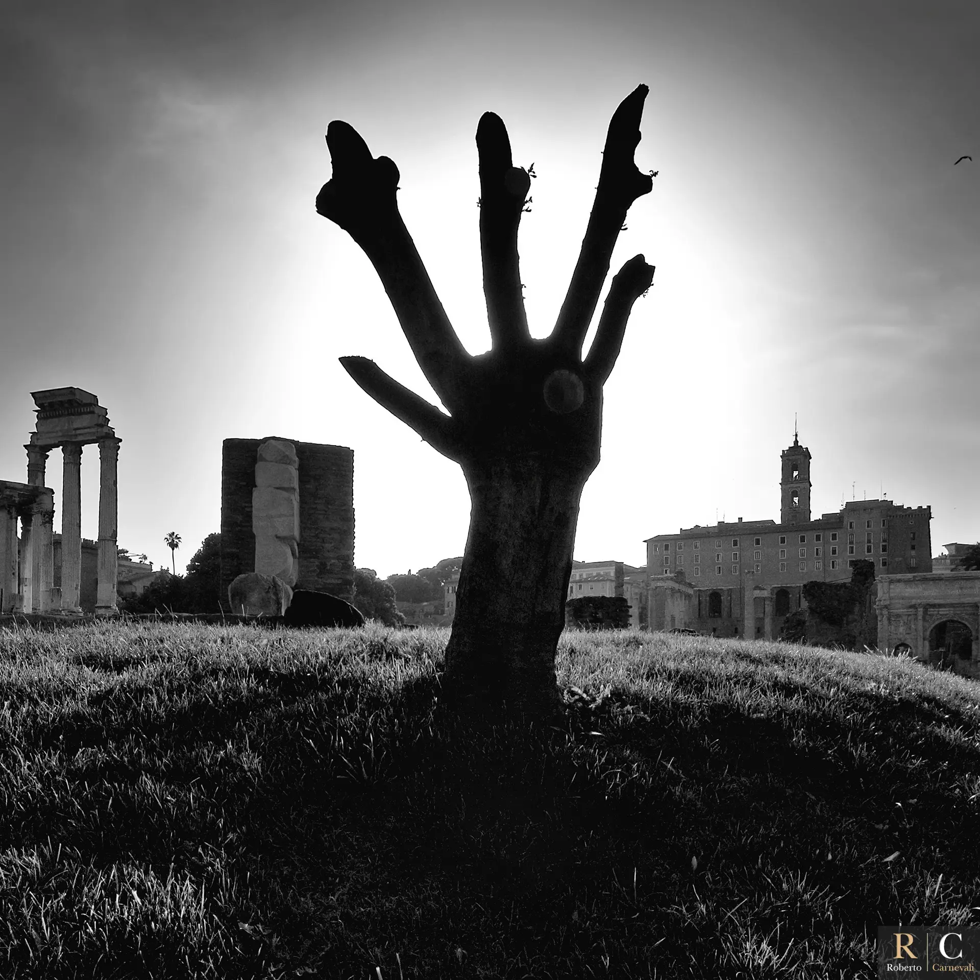 Il risveglio della civiltà