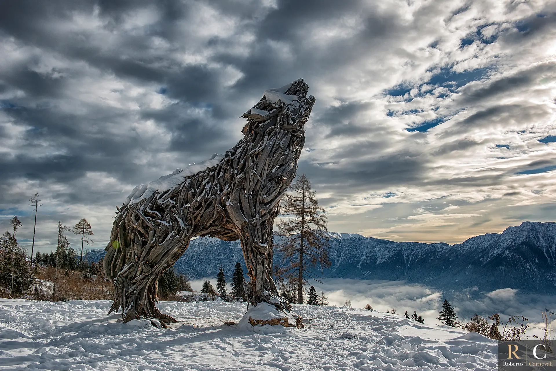 La Lupa del Lagorai in inverno