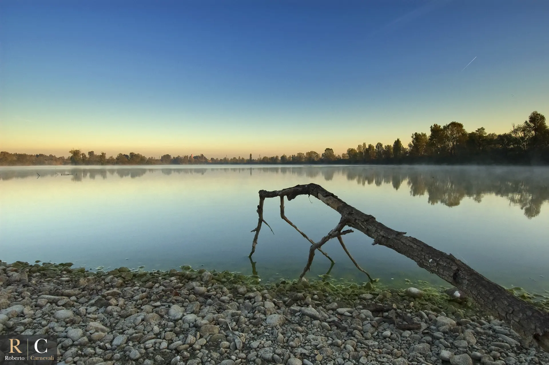La palude silenziosa