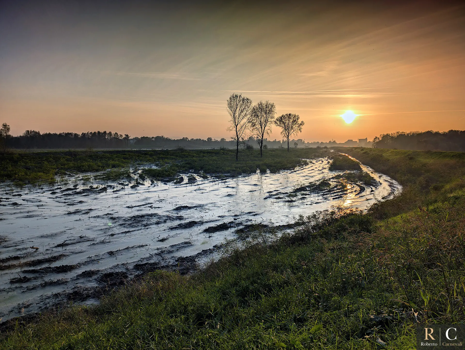 Quel che resta del bosco al tramonto