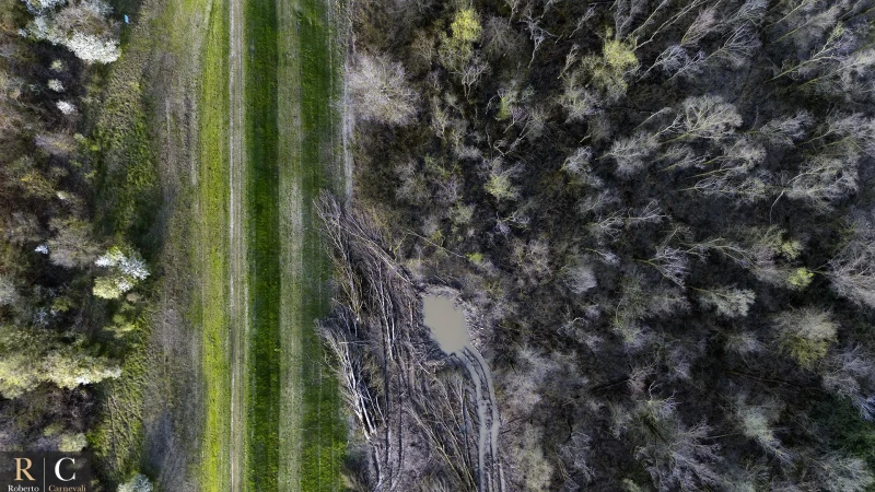 L'argine delle casse di espansione del fiume Secchia dal drone