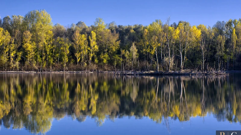 L'autunno si specchia nella palude