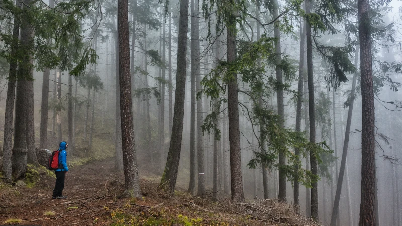Autunno nei boschi del Monte Ponente immersi tra le nuvole