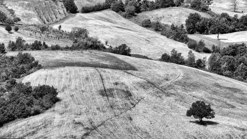 Colline Matildiche in bianco e nero