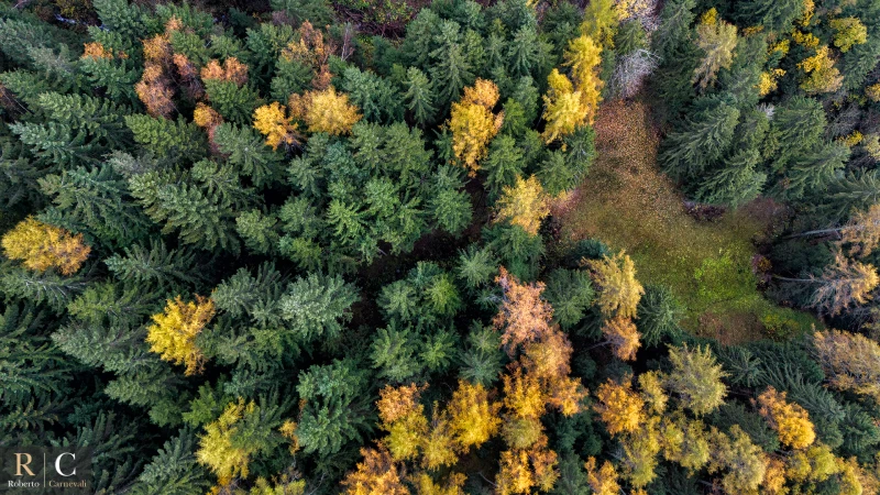 Foliage autunnale dal drone nei boschi del monte Ponente