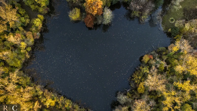Foliage sul lago di villa Sorra dal drone