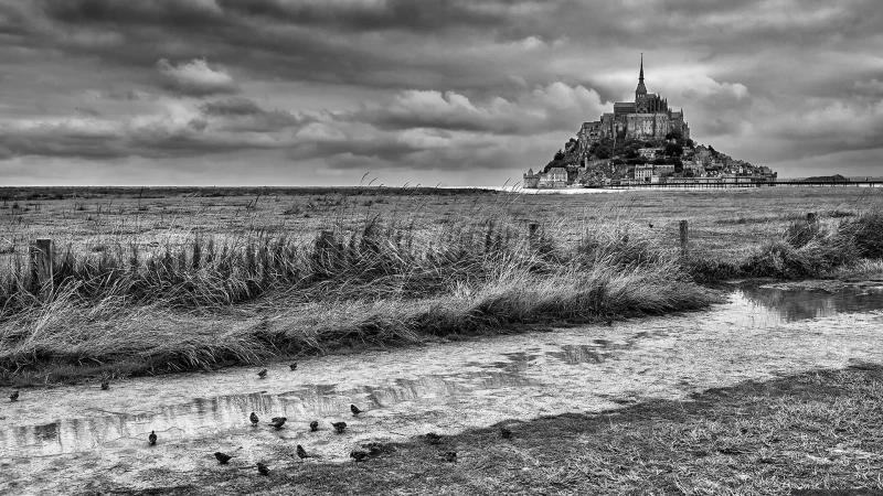 I passeri di Mont Saint Michel e le atmosfere della Normandia