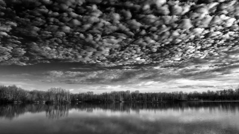Il cielo sulla palude in bianco e nero