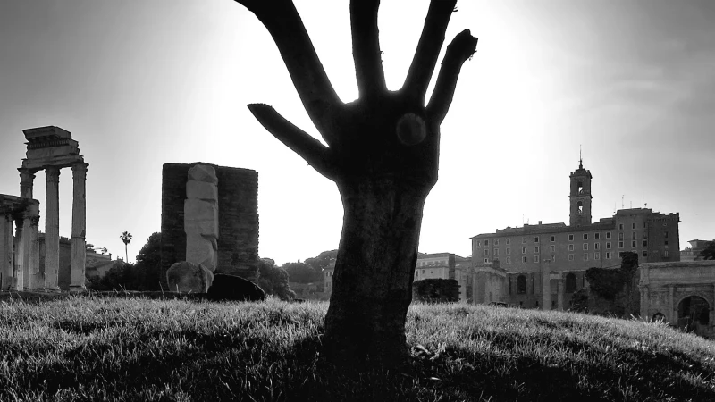 Il risveglio della civiltà
