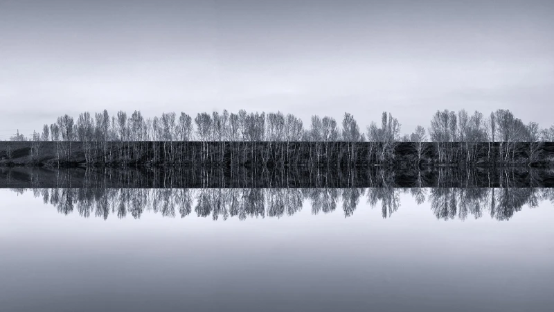 Il suono della Natura in bianco e nero