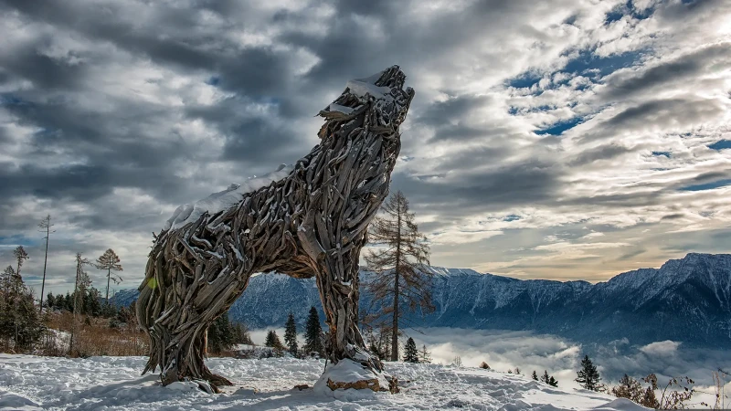 La Lupa del Lagorai in inverno