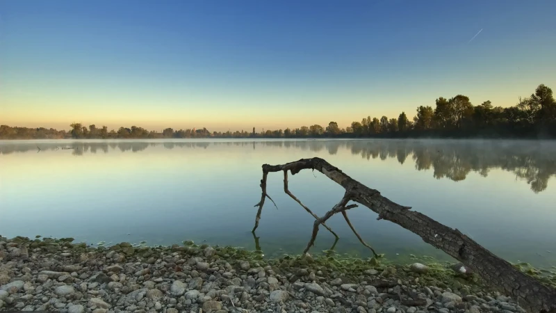 La palude silenziosa