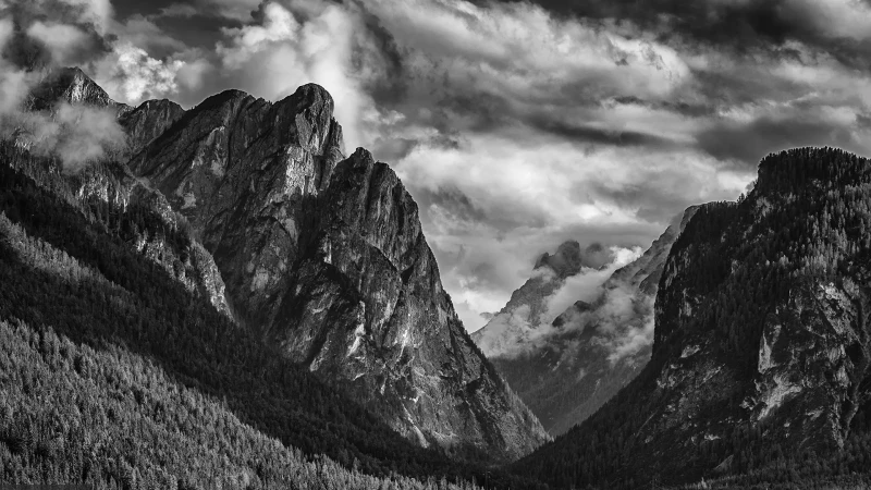 Omaggio ad Ansel Adams, sognando la Yosemite valley in bianco e nero