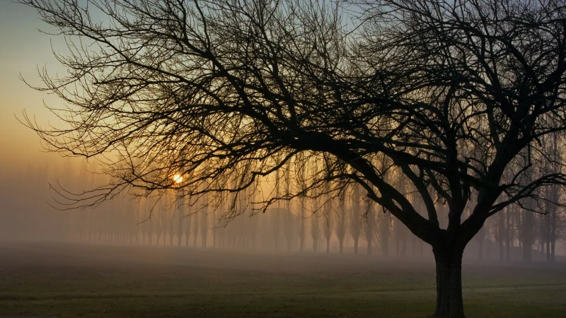 Paesaggio autunnale al tramonto