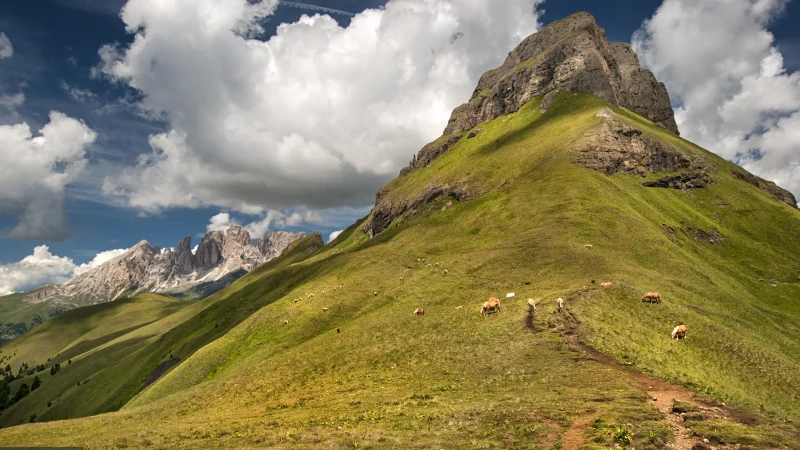 Paesaggio dolomitico estivo