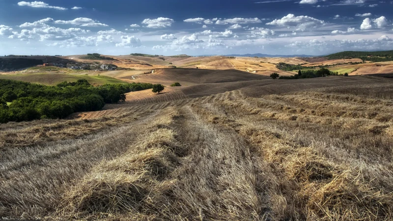 Paesaggio volterrano al tramonto