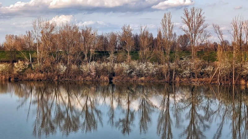 L'arrivo della primavera alle casse di espansione del fiume Secchia