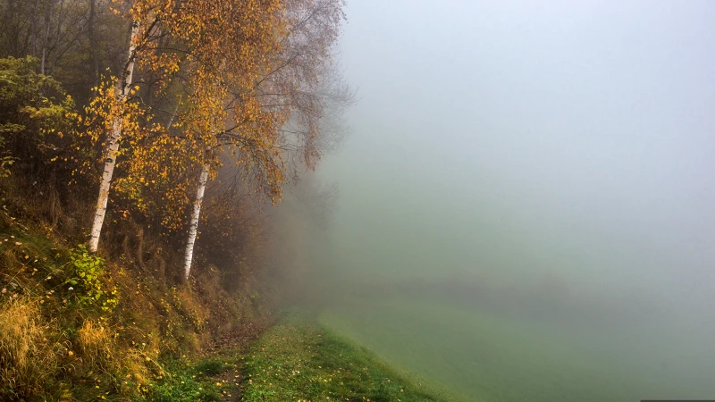 La magia dell'atmosfera autunnale decora il paesaggio