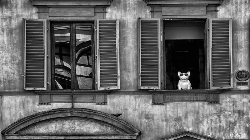 Solitudini urbane