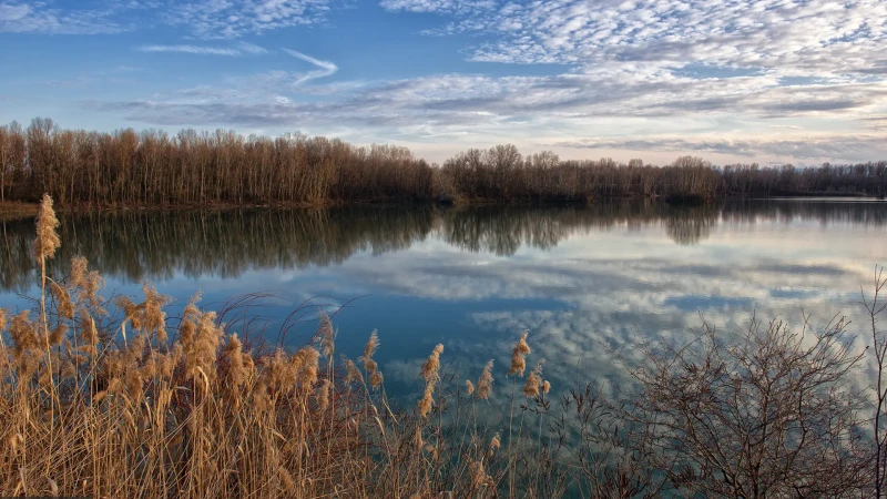 Ultime luci sulla palude
