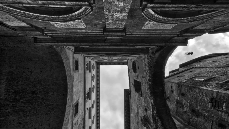 Un desiderio di libertà