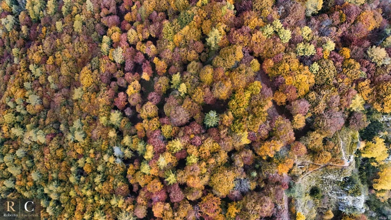 Veduta aerea del foliage sopra Dos dei Corvi