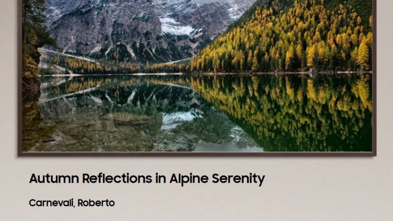 SAMSUNG Art Store - Opera di Roberto Carnevali nel catalogo