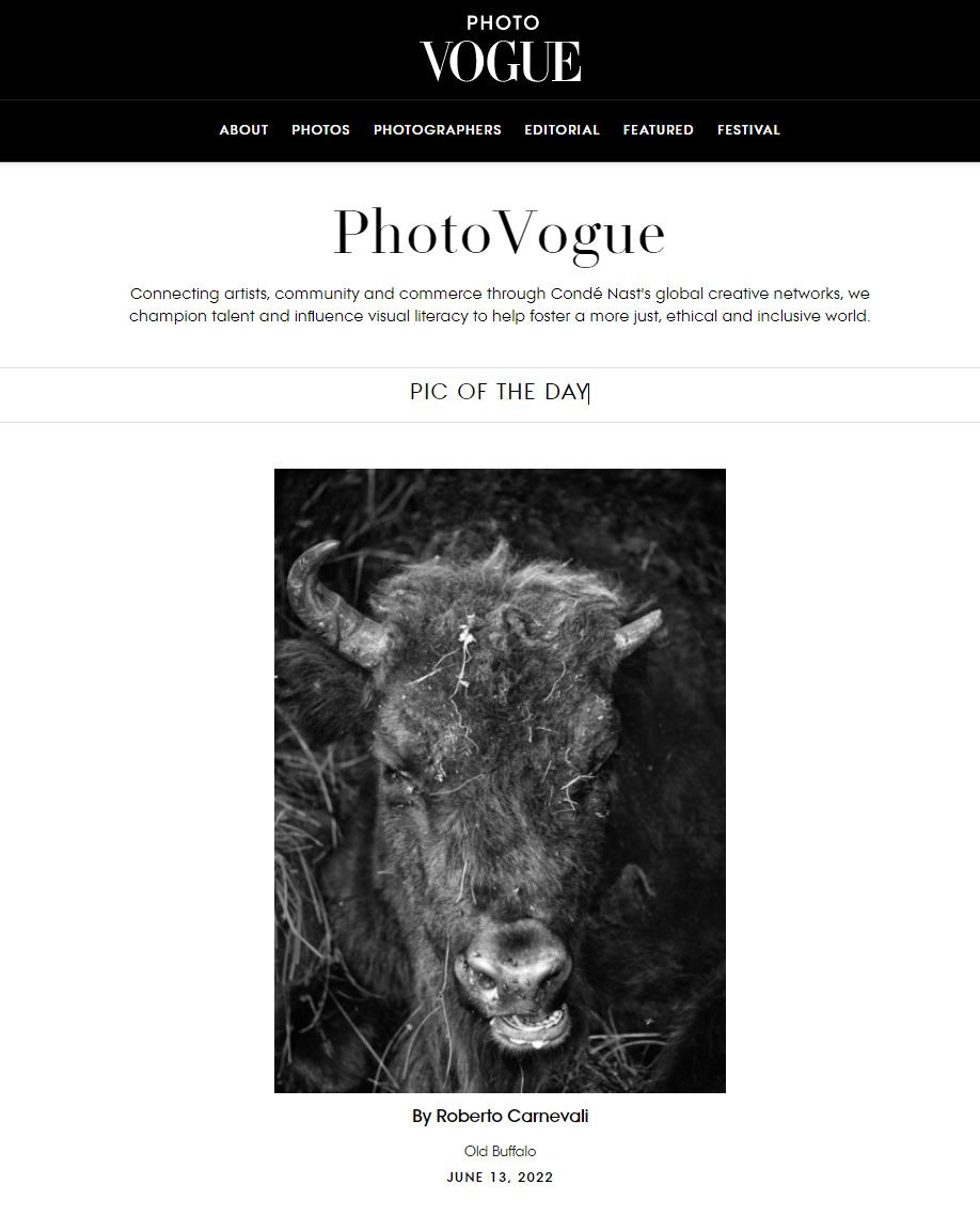 Vogue_PhotoVogue_RobertoCarnevali_PictOfTheDay_OldBuffalo