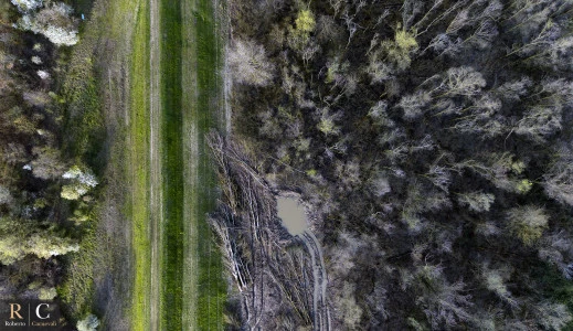 L'argine delle casse di espansione del fiume Secchia
