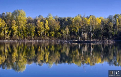 L'autunno si specchia nella palude