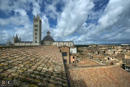 Cattedrale e panoramica di Siena