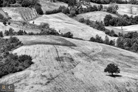 Colline Matildiche in bianco e nero