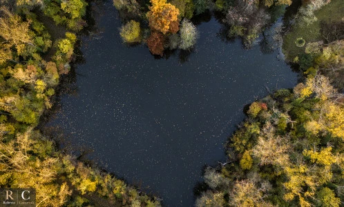 Foliage sul lago di villa Sorra dal drone