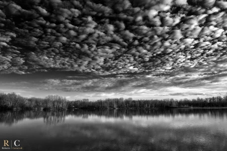 Il cielo sulla palude in bianco e nero