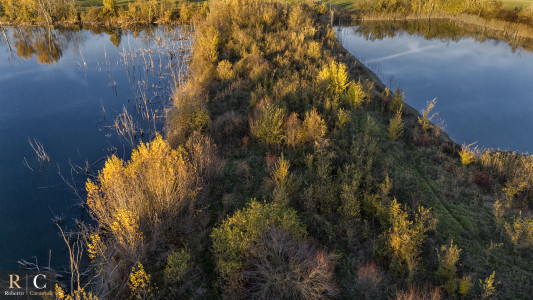 Il foliage sopra la palude