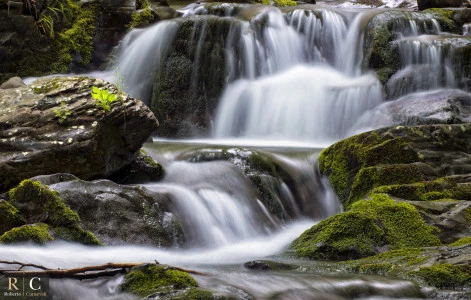 Il lento scorrere dell'acqua