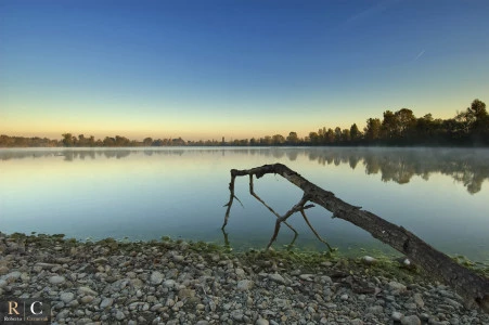 La palude silenziosa