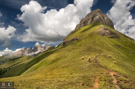 Paesaggio dolomitico estivo