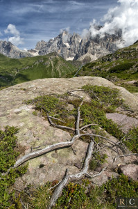Le Dolomiti delle Pale di San Martino dai pressi del Passo Rolle