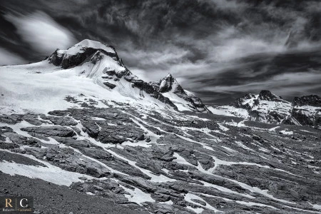 Parco del Gran Paradiso in bianco e nero