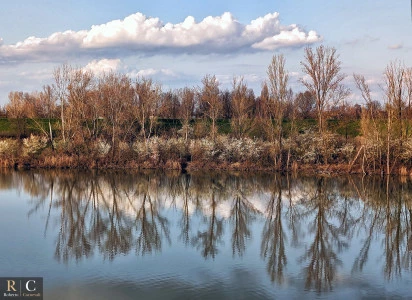 L'arrivo della primavera alle casse di espansione del fiume Secchia